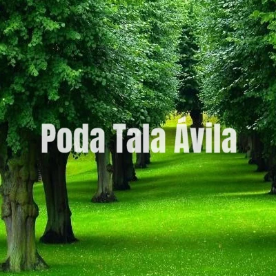 Jardinería Natur Poda Tala Ávila